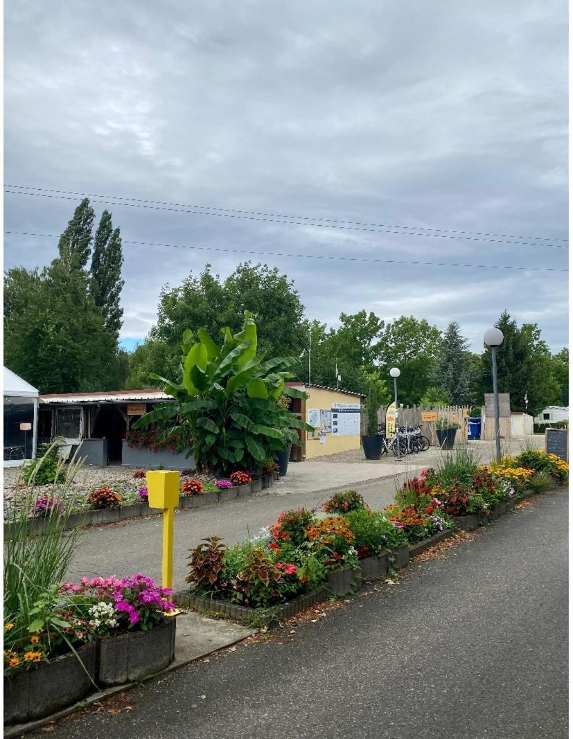 Mobile Home Proche De Europa Park Boofzheim Exteriör bild